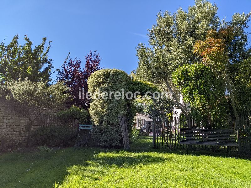 Photo 25 : JARDIN d'une maison située à Saint-Martin-de-Ré, île de Ré.