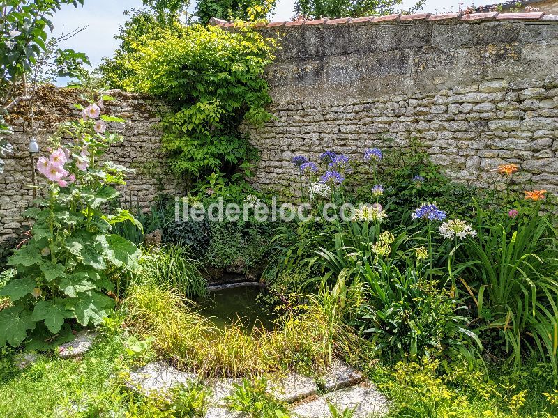 Photo 26 : JARDIN d'une maison située à Saint-Martin-de-Ré, île de Ré.