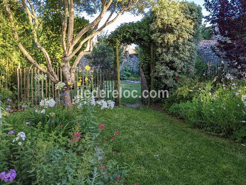 Photo 21 : JARDIN d'une maison située à Saint-Martin-de-Ré, île de Ré.