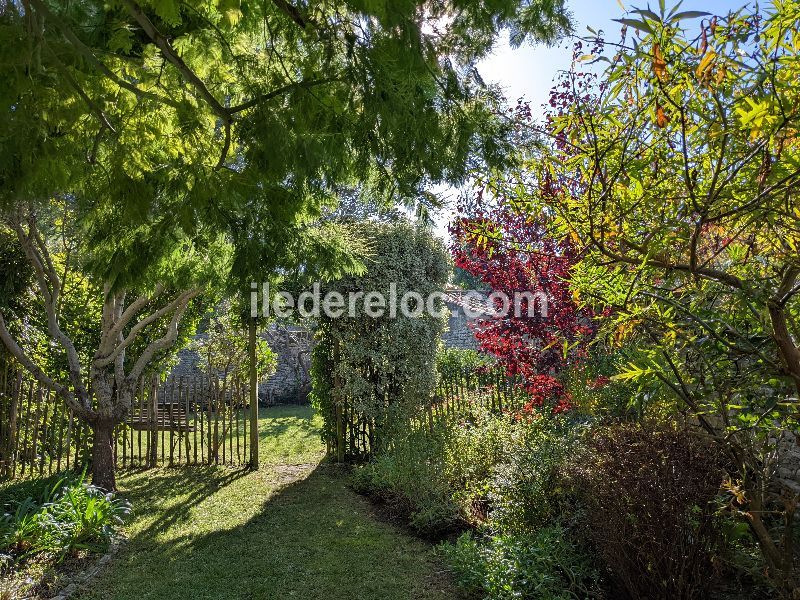 Photo 22 : JARDIN d'une maison située à Saint-Martin-de-Ré, île de Ré.