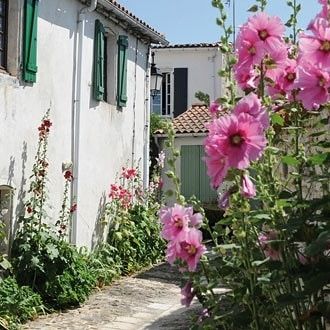 Photo 53 : NC d'une maison située à Saint-Martin-de-Ré, île de Ré.