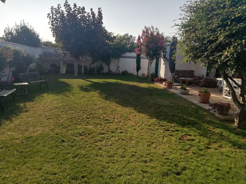 Photo 2 : JARDIN d'une maison située à Loix, île de Ré.