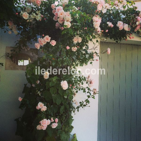 Photo 21 : NC d'une maison située à Saint-Clement, île de Ré.