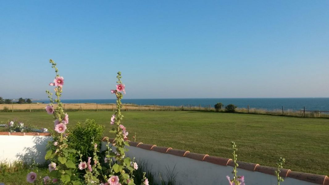 Photo 3 : TERRASSE d'une maison située à La Flotte-en-Ré, île de Ré.