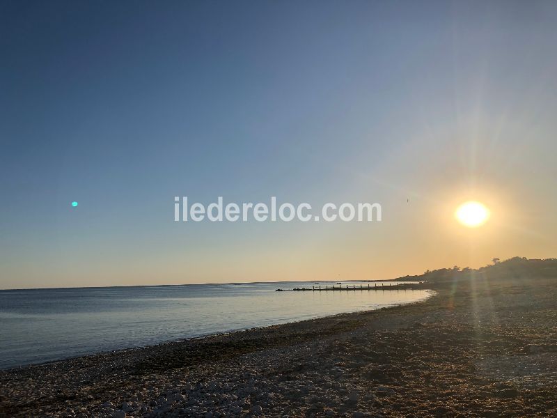 Photo 30 : NC d'une maison située à Ars en Ré, île de Ré.