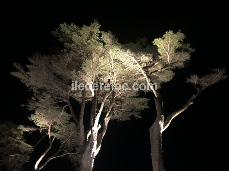 Photo 28 : NC d'une maison située à Ars en Ré, île de Ré.