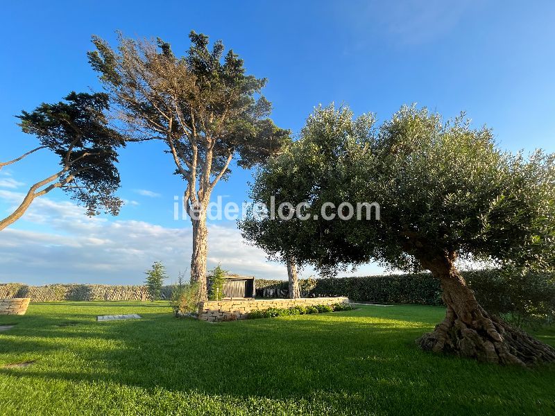 Photo 1 : NC d'une maison située à Ars en Ré, île de Ré.