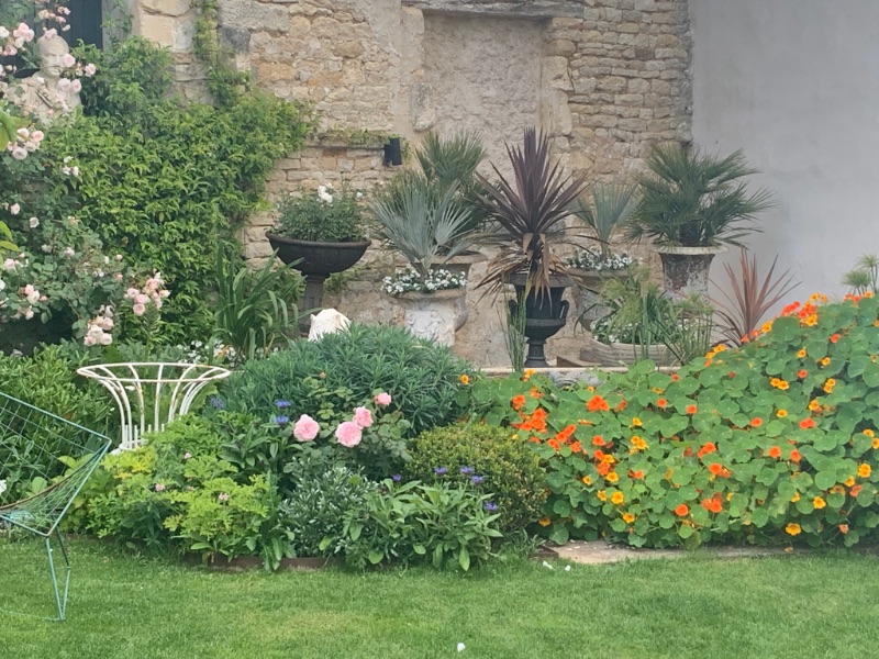 Photo 61 : JARDIN d'une maison située à Le Bois-Plage-en-Ré, île de Ré.