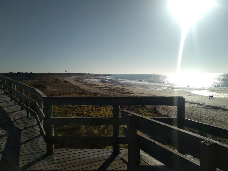 Photo 12 : AUTRE d'une maison située à Le Bois-Plage-en-Ré, île de Ré.