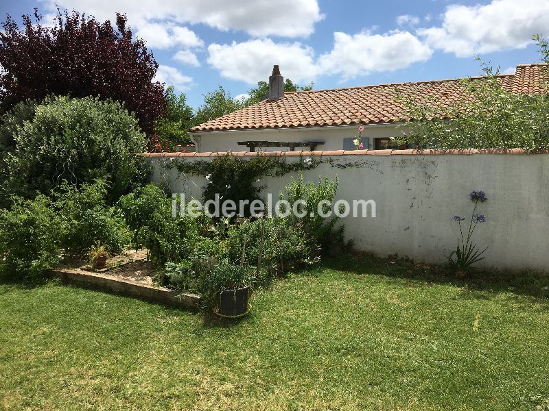 Photo 11 : JARDIN d'une maison située à Loix, île de Ré.