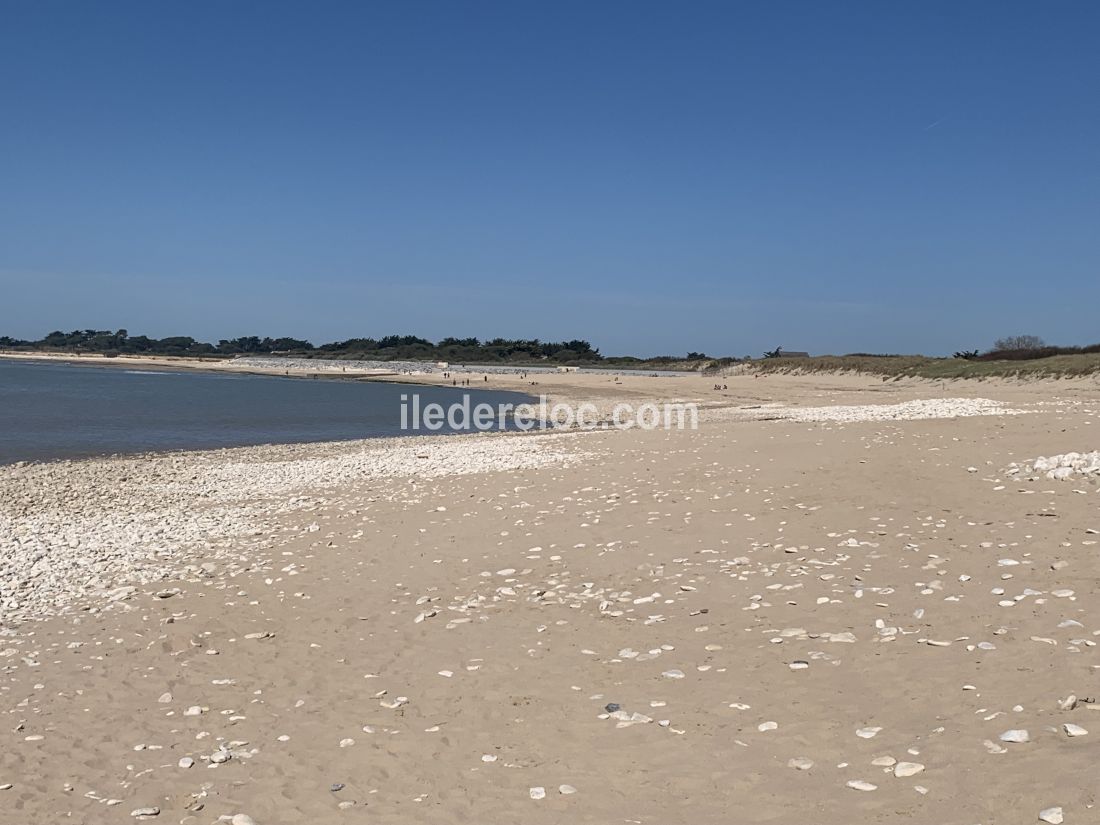 Photo 45 : NC d'une maison située à Sainte-Marie-de-Ré, île de Ré.