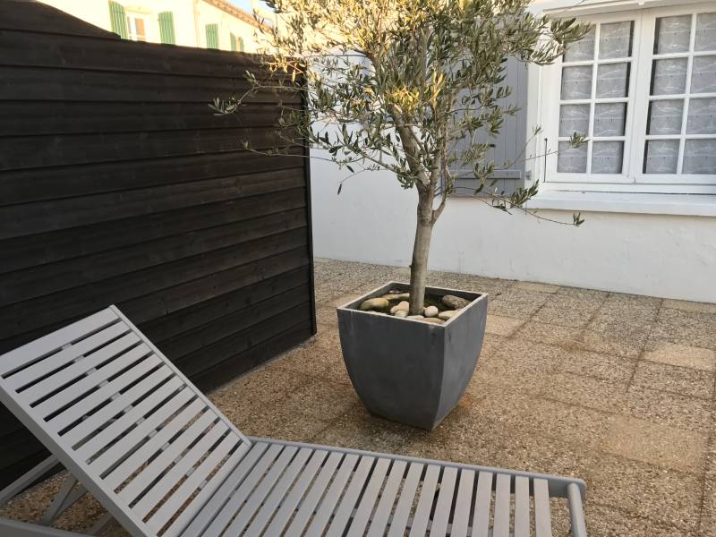 Photo 8 : PATIO d'une maison située à La Flotte-en-Ré, île de Ré.