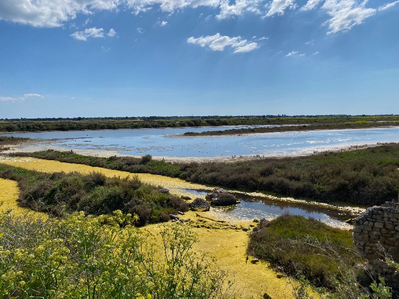 Photo 29 : NC d'une maison située à Loix, île de Ré.