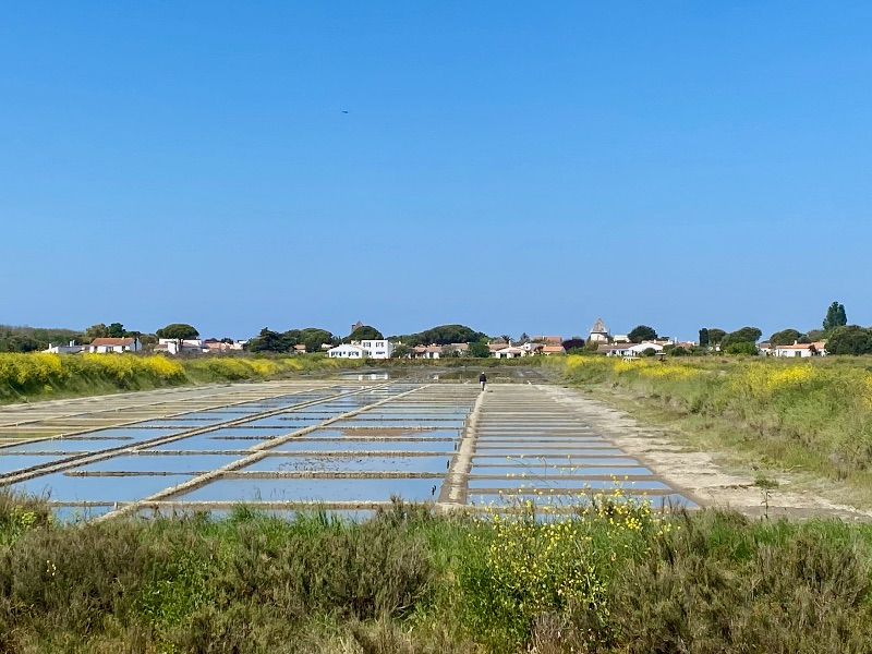 Photo 31 : NC d'une maison située à Loix, île de Ré.