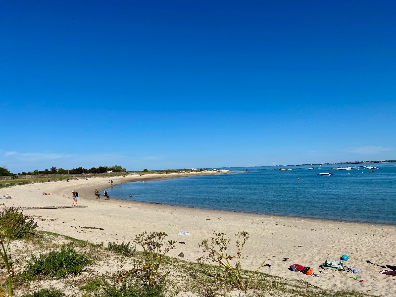 Photo 35 : NC d'une maison située à Loix, île de Ré.