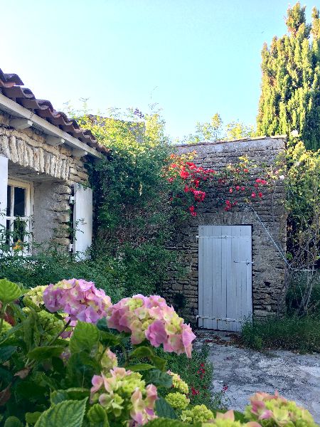 Photo 2 : JARDIN d'une maison située à Les Portes-en-Ré, île de Ré.