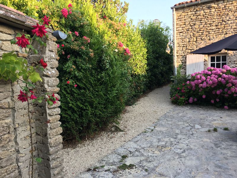 Photo 5 : JARDIN d'une maison située à Les Portes-en-Ré, île de Ré.