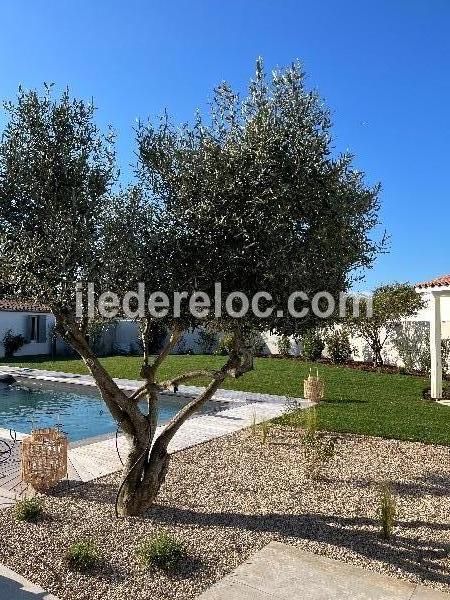 Photo 5 : JARDIN d'une maison située à Le Bois-Plage-en-Ré, île de Ré.