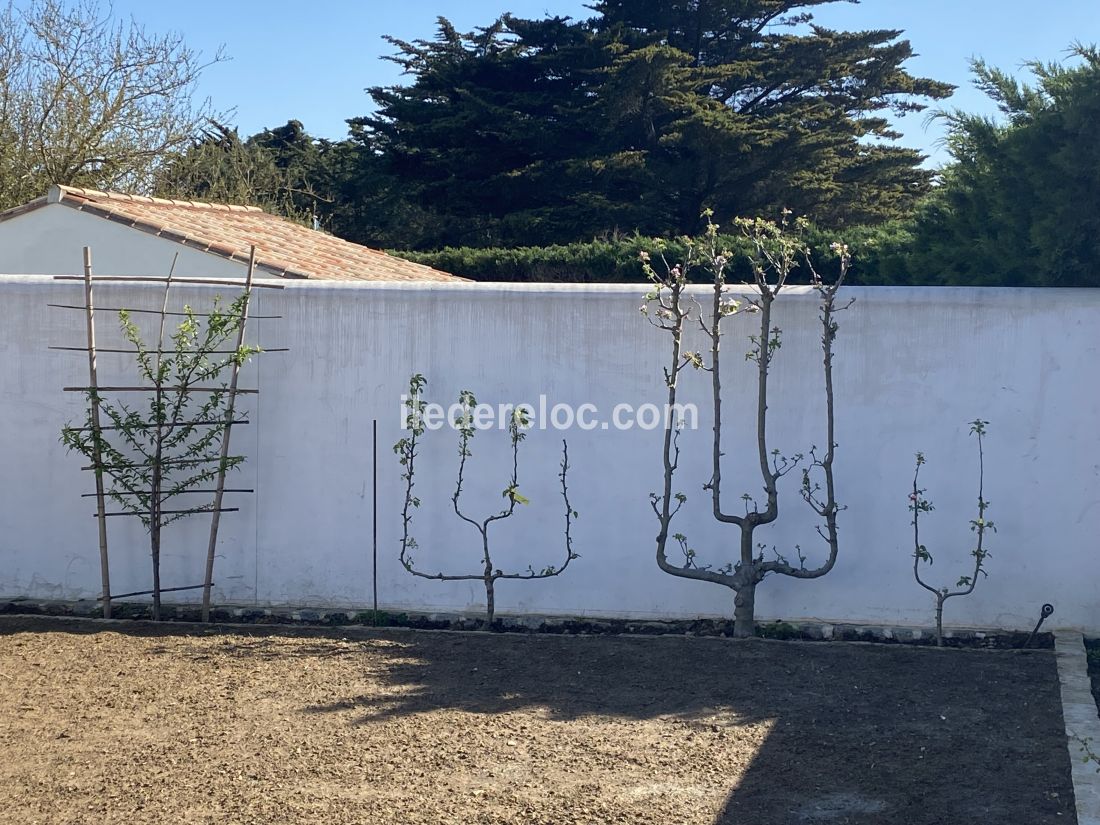 Photo 47 : JARDIN d'une maison située à Le Bois-Plage-en-Ré, île de Ré.