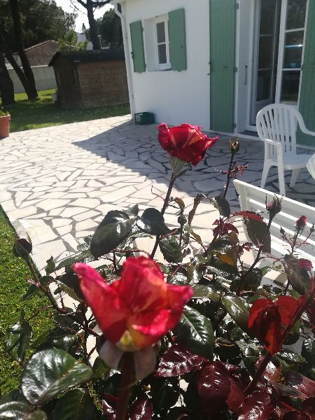 Photo 10 : NC d'une maison situ&eacute;e &agrave; Loix, &icirc;le de R&eacute;.