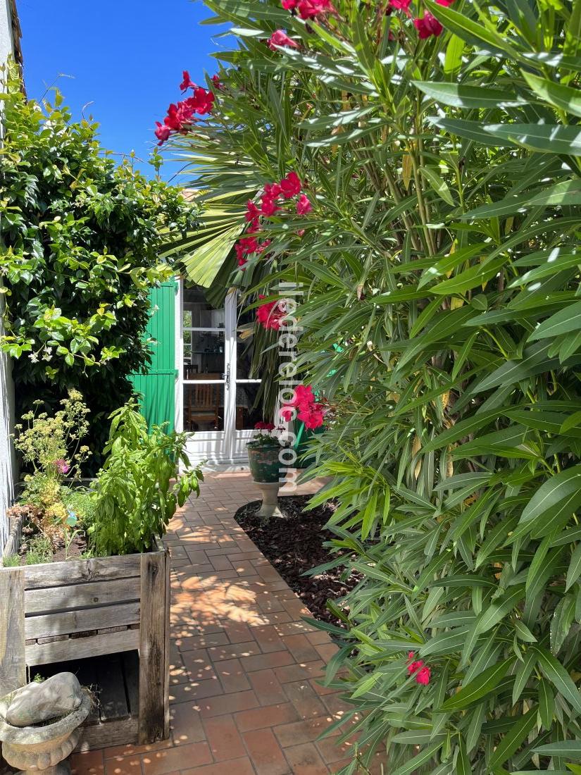 Photo 2 : EXTERIEUR d'une maison située à Sainte-Marie-de-Ré, île de Ré.