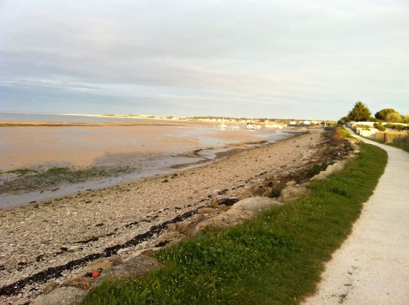 Photo 12 : EXTERIEUR d'une maison située à La Flotte-en-Ré, île de Ré.