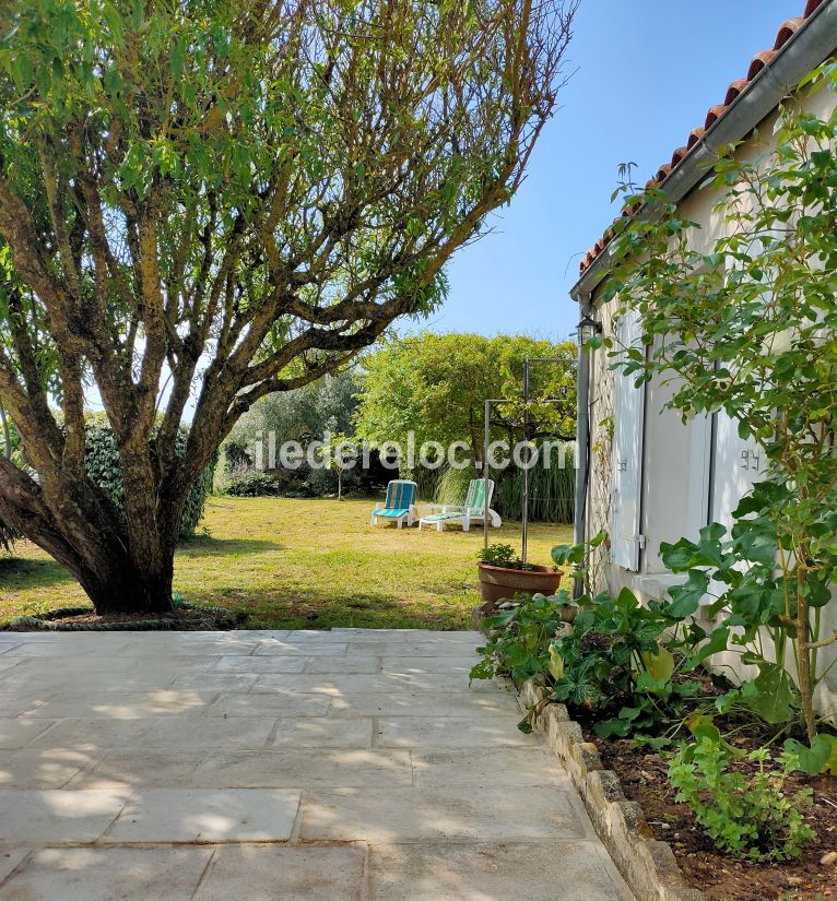 Photo 1 : TERRASSE d'une maison située à Sainte-Marie-de-Ré, île de Ré.