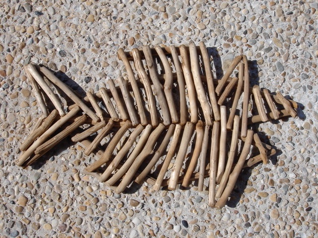 Photo 34 : NC d'une maison situ&eacute;e &agrave; La Flotte-en-R&eacute;, &icirc;le de R&eacute;.
