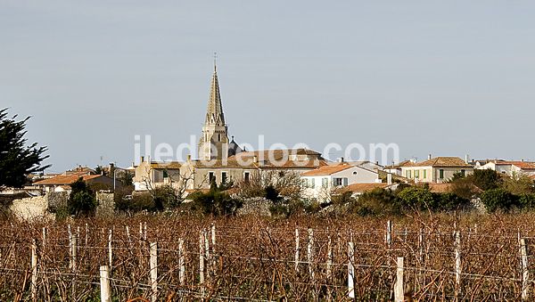 Photo 28 : NC d'une maison située à Sainte-Marie-de-Ré, île de Ré.