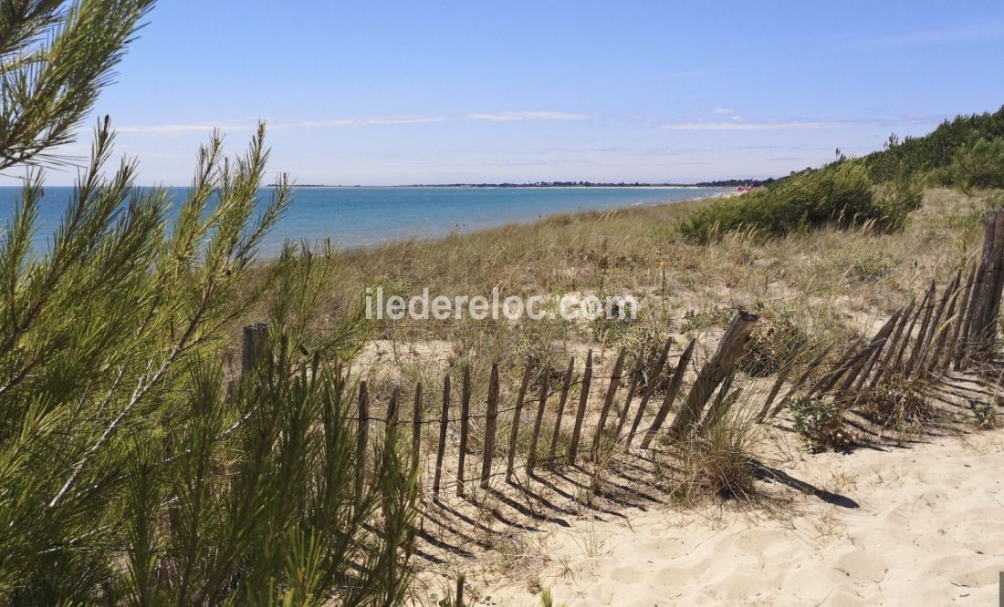 Photo 27 : NC d'une maison située à Sainte-Marie-de-Ré, île de Ré.