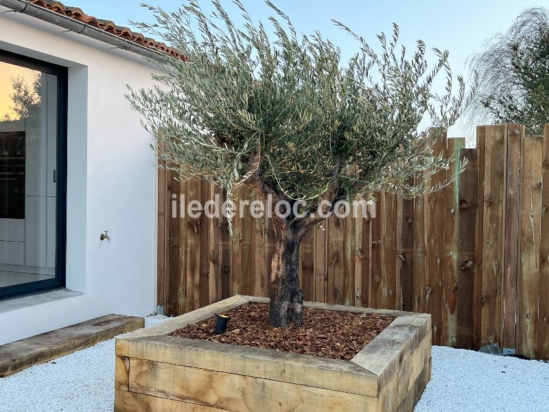 Photo 3 : NC d'une maison située à Saint-Martin-de-Ré, île de Ré.