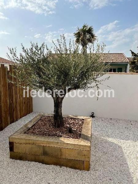 Photo 36 : NC d'une maison située à Saint-Martin-de-Ré, île de Ré.