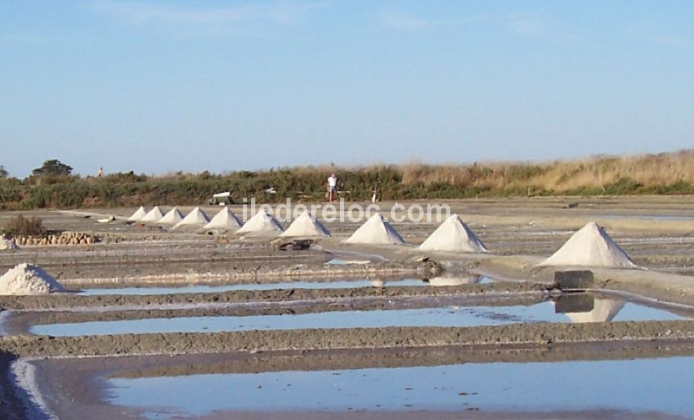 Photo 23 : NC d'une maison située à Ars en Ré, île de Ré.