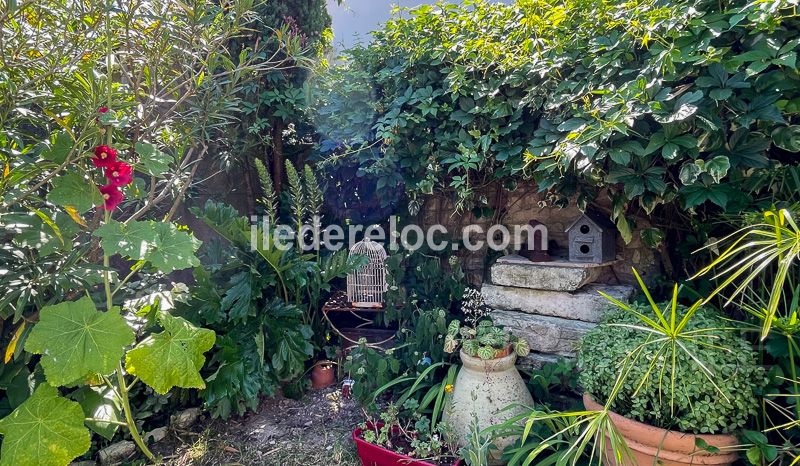 Photo 22 : JARDIN d'une maison située à La Flotte-en-Ré, île de Ré.