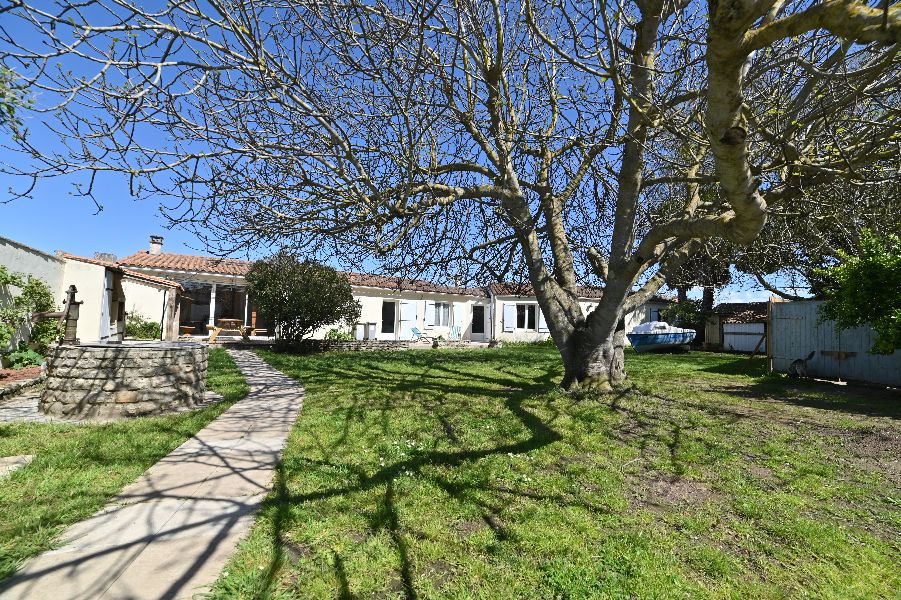 Photo 1 : EXTERIEUR d'une maison située à Ars en Ré, île de Ré.