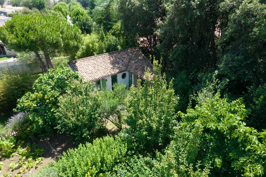 Photo 10 : JARDIN d'une maison située à Rivedoux-Plage, île de Ré.