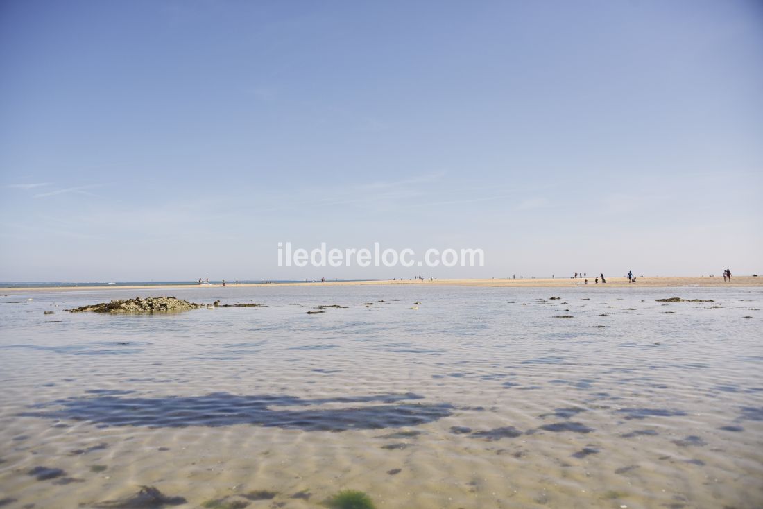 Photo 22 : EXTERIEUR d'une maison située à Les Portes-en-Ré, île de Ré.