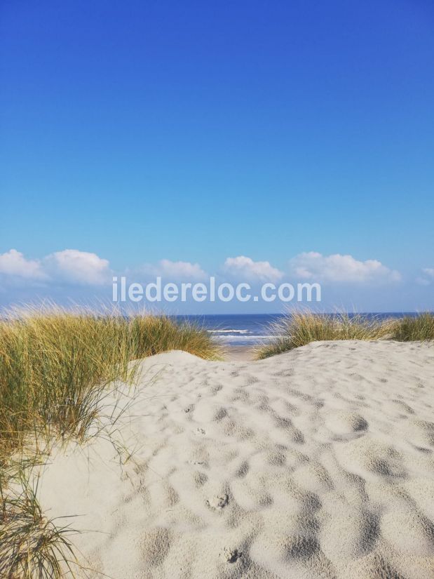 Photo 16 : NC d'une maison située à La Couarde-sur-mer, île de Ré.