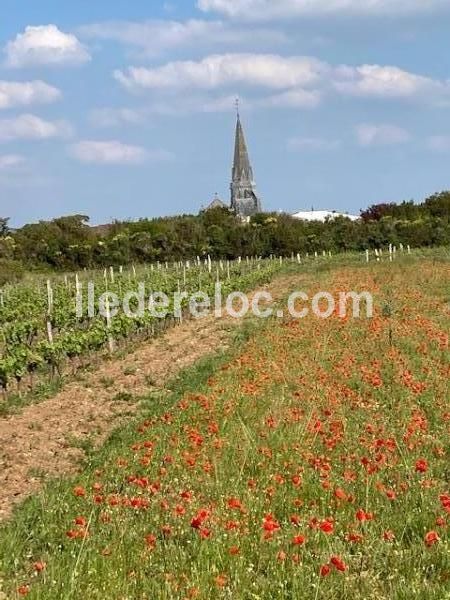 Photo 19 : AUTRE d'une maison située à Sainte-Marie-de-Ré, île de Ré.