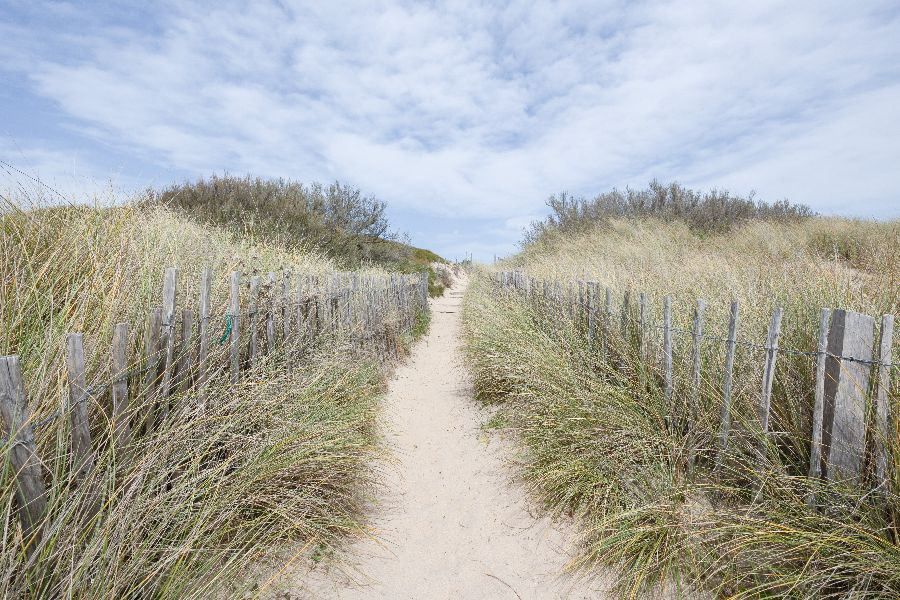 Photo 28 : NC d'une maison située à Le Bois-Plage-en-Ré, île de Ré.