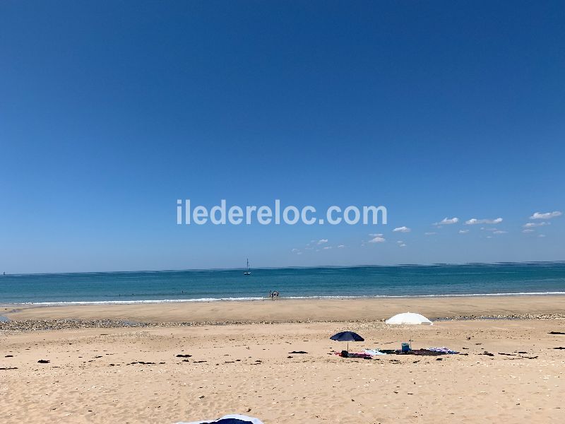 Photo 15 : AUTRE d'une maison située à Saint-Clément-des-Baleines, île de Ré.