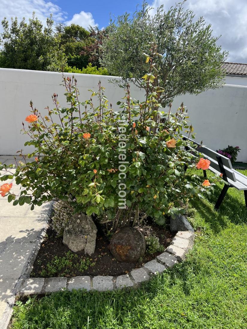 Photo 6 : JARDIN d'une maison située à La Flotte-en-Ré, île de Ré.