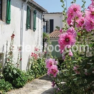 Photo 22 : NC d'une maison située à Saint-Martin-de-Ré, île de Ré.
