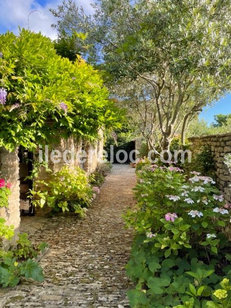 Photo 3 : NC d'une maison située à Les Portes-en-Ré, île de Ré.