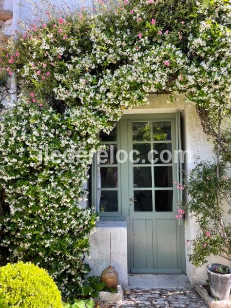 Photo 4 : NC d'une maison située à Les Portes-en-Ré, île de Ré.