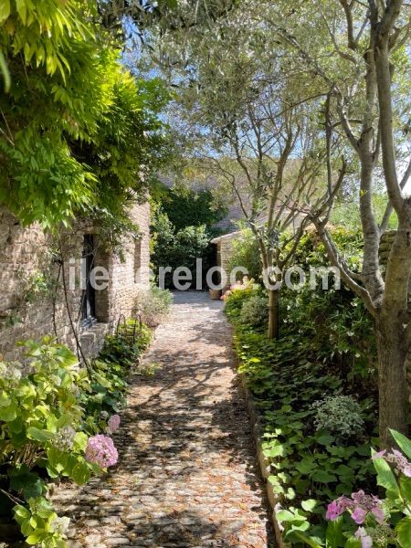 Photo 6 : NC d'une maison située à Les Portes-en-Ré, île de Ré.