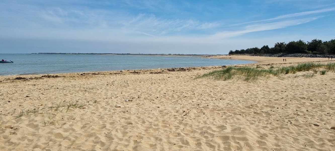 Photo 29 : NC d'une maison située à Les Portes-en-Ré, île de Ré.