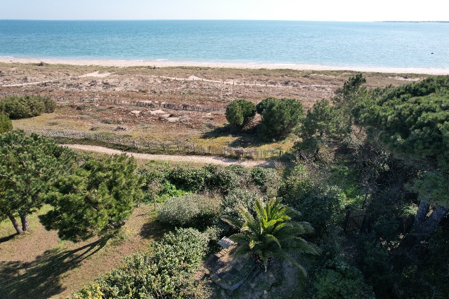 Photo 2 : NC d'une maison située à Les Portes-en-Ré, île de Ré.