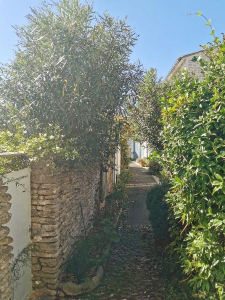 Photo 7 : NC d'une maison située à Les Portes-en-Ré, île de Ré.