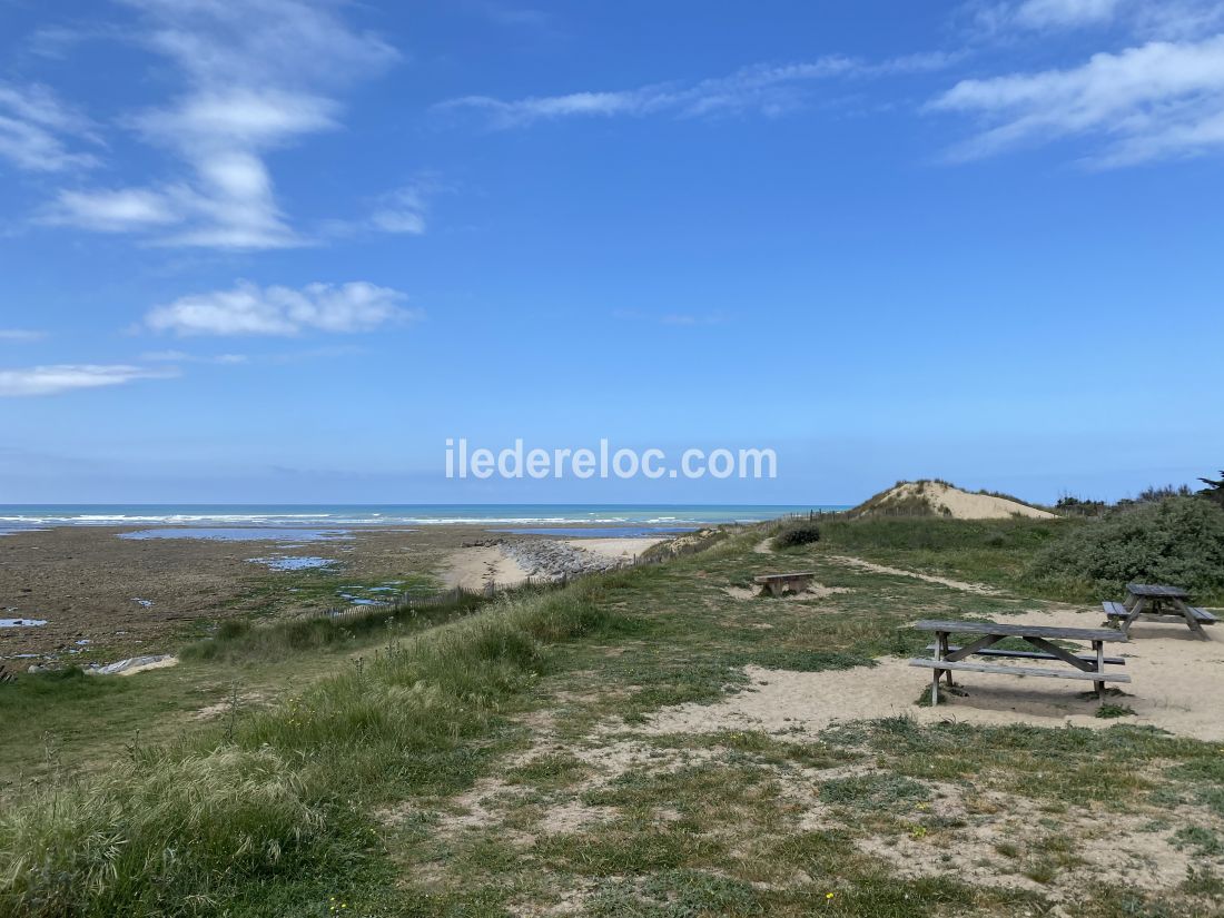 Photo 37 : EXTERIEUR d'une maison située à Ars en Ré, île de Ré.